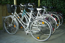 Der Sportboothafen Lindaunis