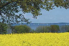 Der Sportboothafen Lindaunis